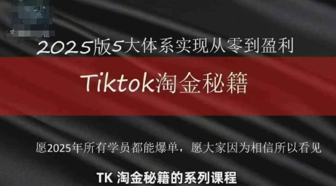 TikTok跨境2025淘金秘籍，​2025TikTok从0到盈利变现-学链网创