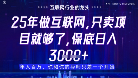 什么！25年你还在找项目做？风口早就变了，卖项目才是稳挣不赔【揭秘】-学链网创