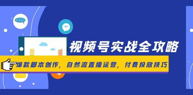 视频号实战全攻略，爆款脚本创作，自然流直播运营，付费投放技巧-学链网创