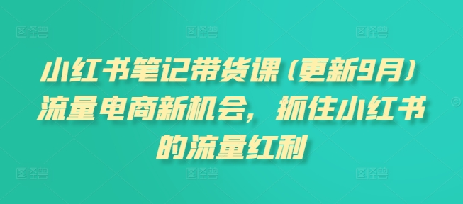 小红书笔记带货课(更新25年5月)流量电商新机会，抓住小红书的流量红利-学链网创