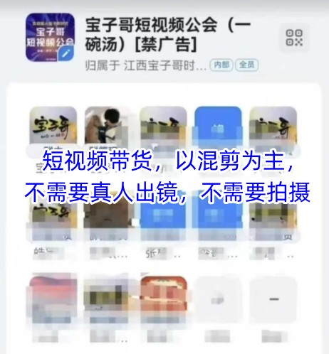 宝子哥头部团队短视频带货，以混剪为主，不需要真人出镜，不需要拍摄【更新】-学链网创