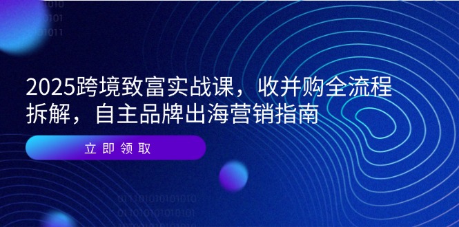 2025跨境致富实战课，收并购全流程拆解，自主品牌出海营销指南-学链网创