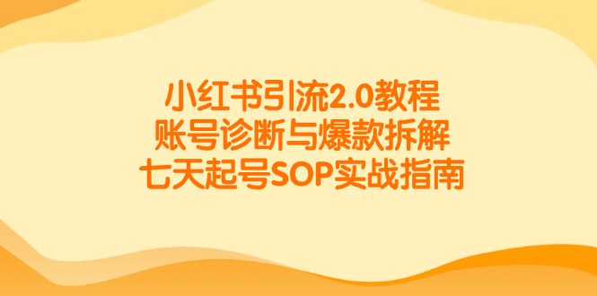 小红书引流2.0教程，账号诊断与爆款拆解，七天起号SOP实战指南-学链网创