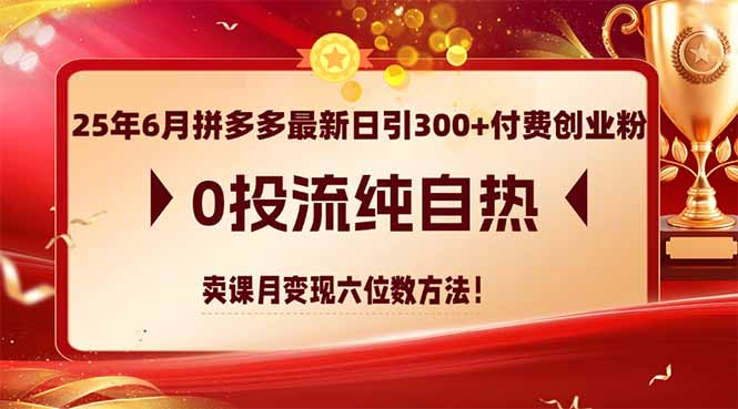 25年6月拼多多最新日引300+付费创业粉，0投流纯自热 卖课月变现六位数方法-学链网创