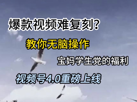 视频号4.0重磅上线，爆款视频难复刻？教你无脑操作宝妈学生党的福利【揭秘】-学链网创