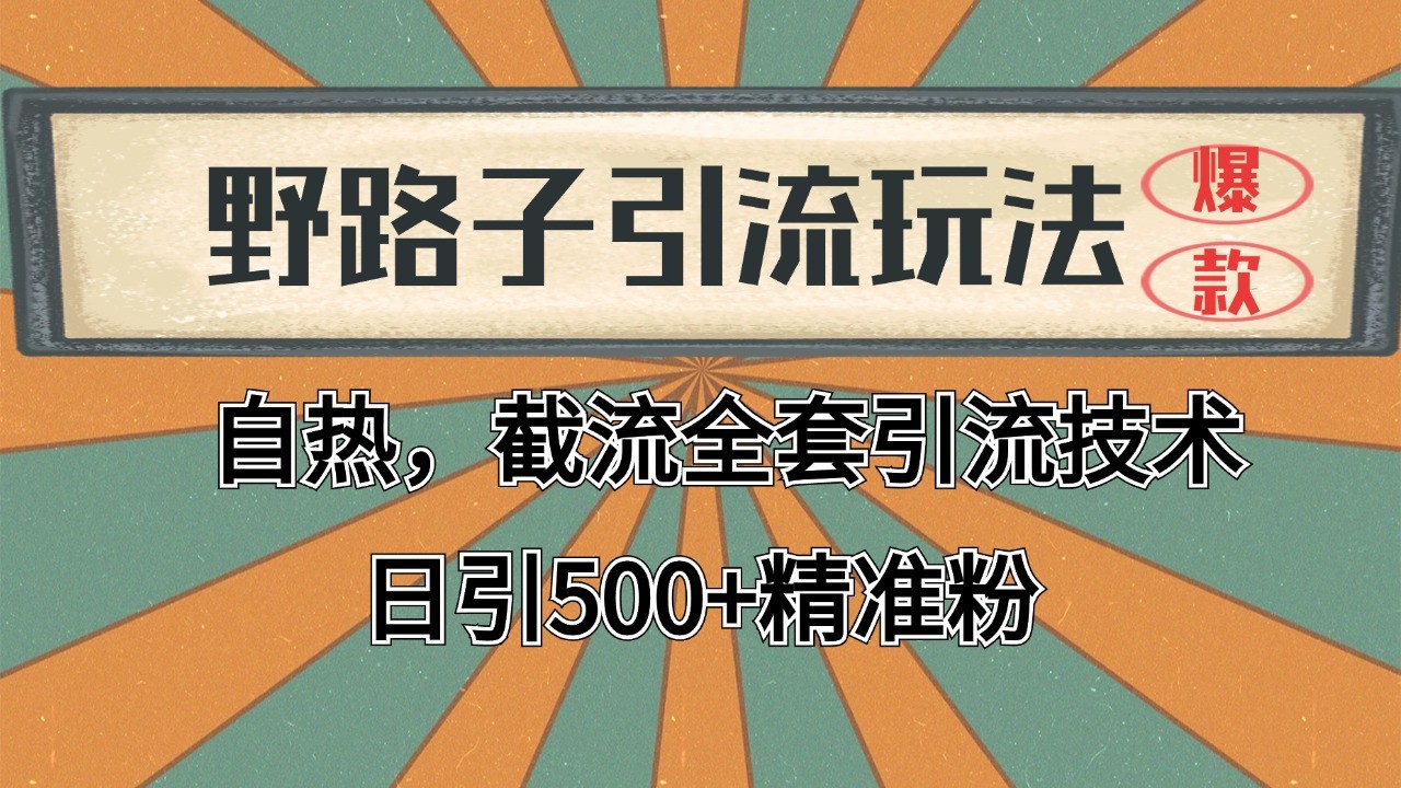 2024首发野路子引流玩法截流自热全平台打法，全自动引流【日引2000+精准客户】-学链网创