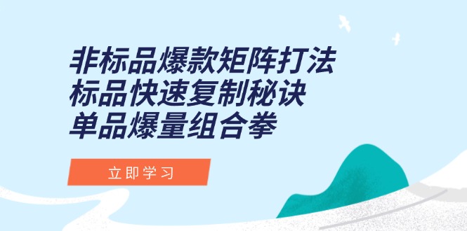 非标品爆款矩阵打法，标品快速复制秘诀，单品爆量组合拳-学链网创