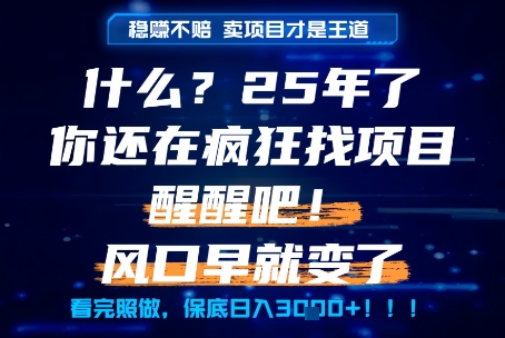 什么？25年你还在疯狂找项目做，醒醒吧，看完这些你全都懂了！【揭秘】-学链网创