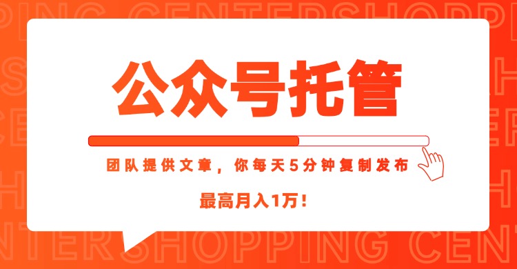 【公众号托管 】我提供文章，你每天５分钟复制发布，最高月入1W-学链网创