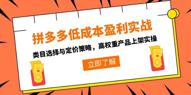拼多多低成本盈利实战，类目选择与定价策略，高权重产品上架实操-学链网创