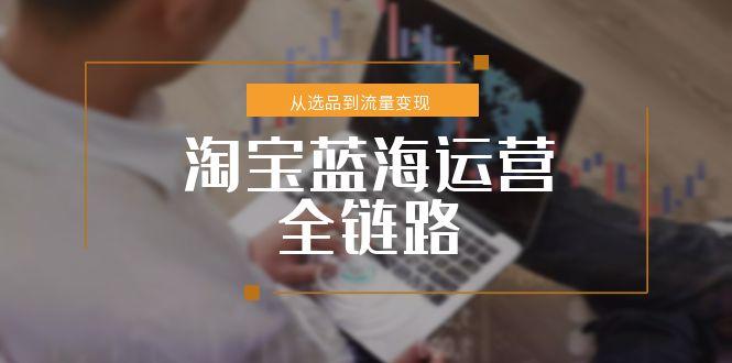淘宝蓝海运营全链路，从选品到流量变现，小类目突围完整方案-学链网创