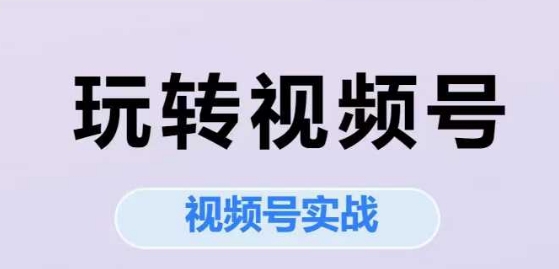 玩转视频号，视频号实战系列课-学链网创