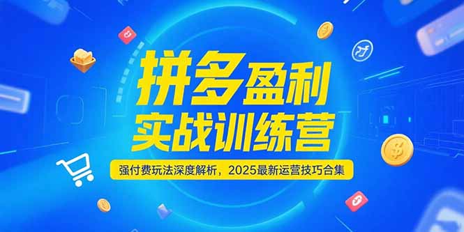 拼多多盈利实战训练营，强付费玩法深度解析，2025运营技巧合集-更新6月-学链网创
