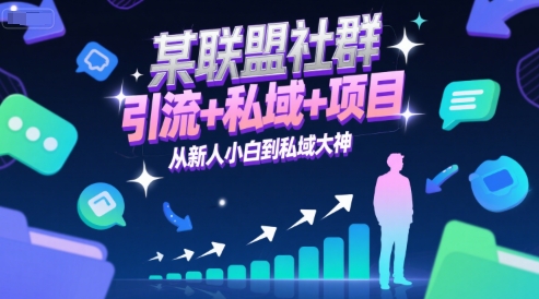 某联盟社群，引流+私域+项目，从新人小白到私域大神-学链网创