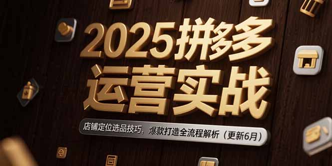2025拼多多运营实战：店铺定位选品技巧，爆款打造全流程解析(更新6月-学链网创