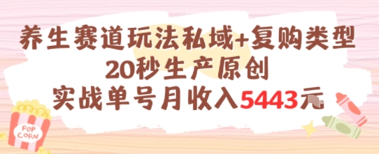 养生赛道玩法私域+复购类型，20秒生产原创实战单号月收入5k+-学链网创