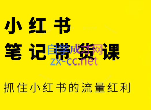 张宾·小红书笔记带货课(更新6月)-学链网创