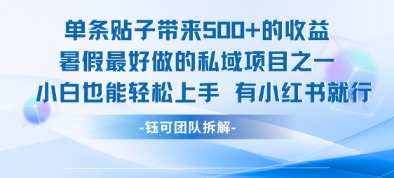 单条贴子带来5张的收益，暑假最好做的私域项目之一，小白也能轻松上手，有小红书就行-学链网创