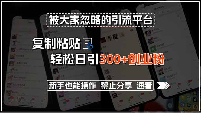 被大家忽略的引流平台，复制粘贴轻松日引300+创业粉，新手也能操作，禁…-学链网创