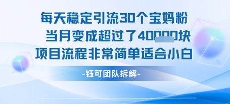 每天稳定引流30个人 当月变成超过了4个W项目流程非常简单适合小白-学链网创