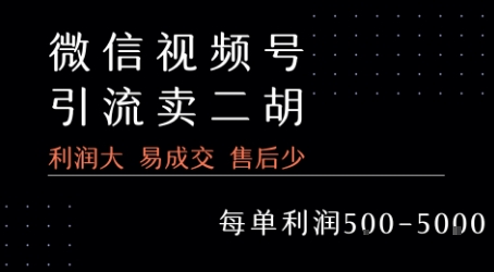 视频号卖二胡教程，利润大 易成交 售后少，一单利润5张+-学链网创
