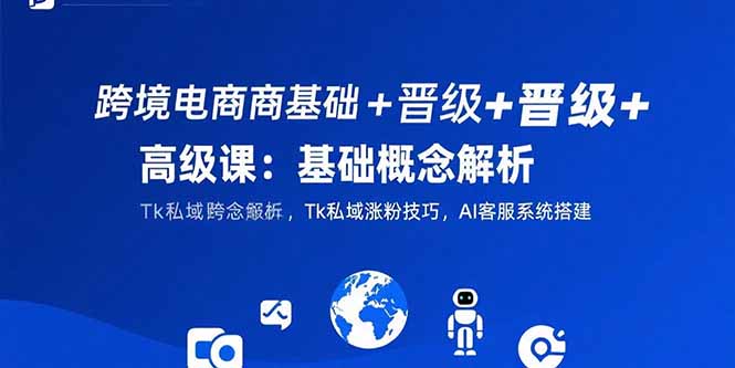 跨境电商基础+晋级+高级课：基础概念解析,Tk私域涨粉技巧,AI客服系统搭建-学链网创