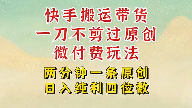 快手黑科技搬运带货，一刀不剪过原创，微付费投流玩法，轻松日入四位数…-学链网创