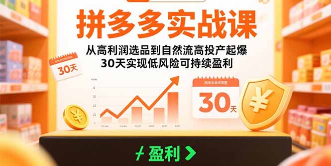 拼多多实战课：从高利润选品到自然流高投产起爆 30天实现低风险可持续盈利-学链网创