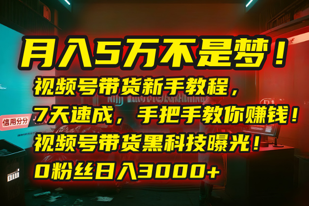 月入5万不是梦！视频号带货新手教程，7天速成，手把手教你赚钱！视频号…-学链网创