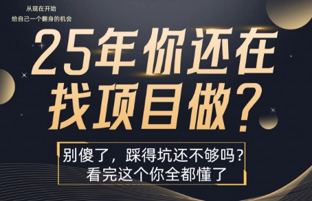 25年，你还在疯狂的找项目吗？别傻了，看完这个你都懂了【揭秘】-学链网创