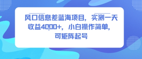 风口信息差蓝海项目，实测一天收益4k+，小白操作简单，可矩阵起号-学链网创