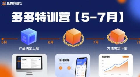 多多特训营【5-7月】产品决定上限，方法决定下限，各种玩法技巧落地实操-学链网创