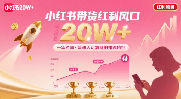 一年时间靠小红书带货项目年入20w+，最不能错的大红利项目-学链网创