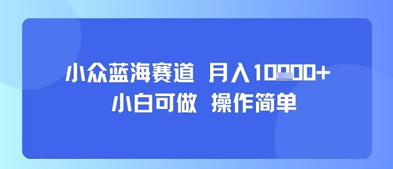 小众蓝海赛道，小白可做，操作简单，每天30分钟，月入1W+-学链网创