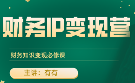 有有老师·财务IP变现营，财务知识变现必修课-学链网创