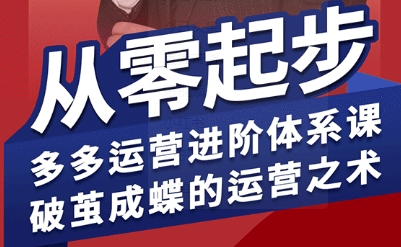 拼多多运营进阶系统课，从零起步，多多运营进阶体系课，破茧成蝶的运营之术-学链网创