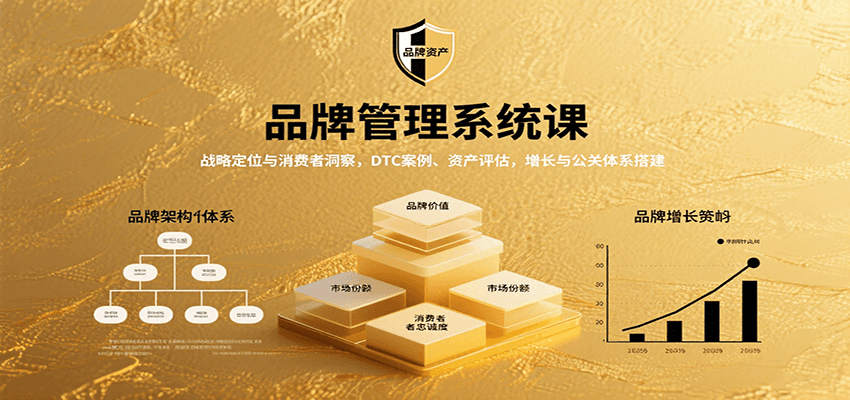 品牌管理系统课：战略定位与消费者洞察，DTC案例、资产评估，增长与公关体系搭建-学链网创