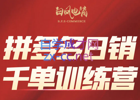 白凤电商·拼多多日销千单训练营(更新8月)-学链网创