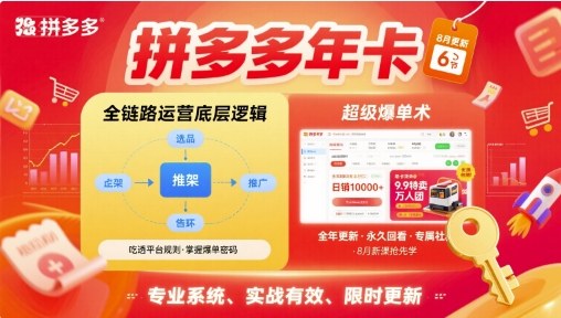 拼多多年卡【8月更新6节】拼多多全链路运营底层逻辑，超级爆单术-学链网创