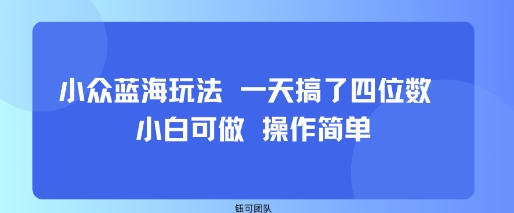 小众蓝海玩法 一天搞了四位数 小白可做 操作简单-学链网创
