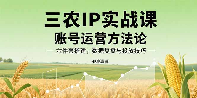 三农IP实战课：账号运营方法论，六件套搭建，数据复盘与投放技巧-学链网创