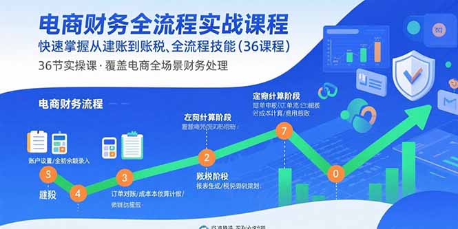 电商财务全流程实战课程：快速掌握从建账到报税的全流程技能(36节课-学链网创