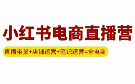 申铭老师·小红书电商直播营(更新)-学链网创