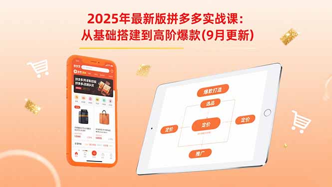 2025年最新版拼多多实战课：从基础搭建到高阶爆款(9月更新-学链网创