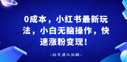 0成本，小红书最新玩法，小白无脑操作，快速涨粉变现-学链网创