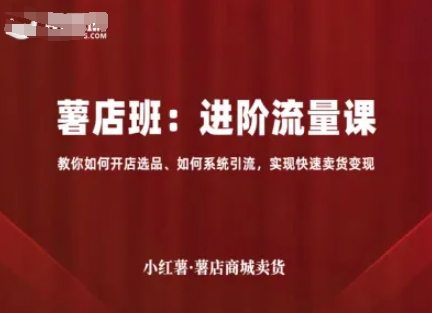 小红薯薯店商城卖货，进阶流量课，教你如何开店选品、如何系统引流，实现快速卖货变现-学链网创
