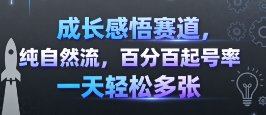 成长感悟赛道，纯自然流，百分百起号率 一天轻松多张-学链网创