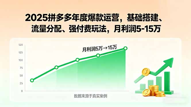 2025拼多多年度爆款运营，基础搭建、流量分配、强付费玩法，月利润5-15万-学链网创