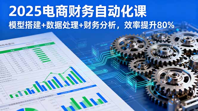 2025电商财务自动化课，模型搭建+数据处理+财务分析，效率提升80%-学链网创