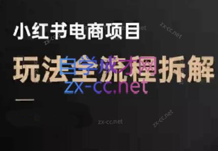 菲菲老师·小红书电商玩法(更新9月)-学链网创